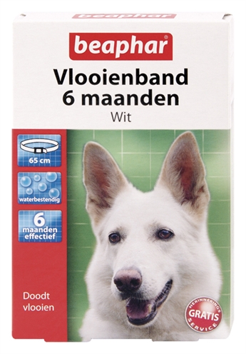 Mislukking Vlot dik Beaphar vlooien anticonceptie (KLEINE HOND 2,6-6,7 KG) -  Hondenspullenkopen.nl