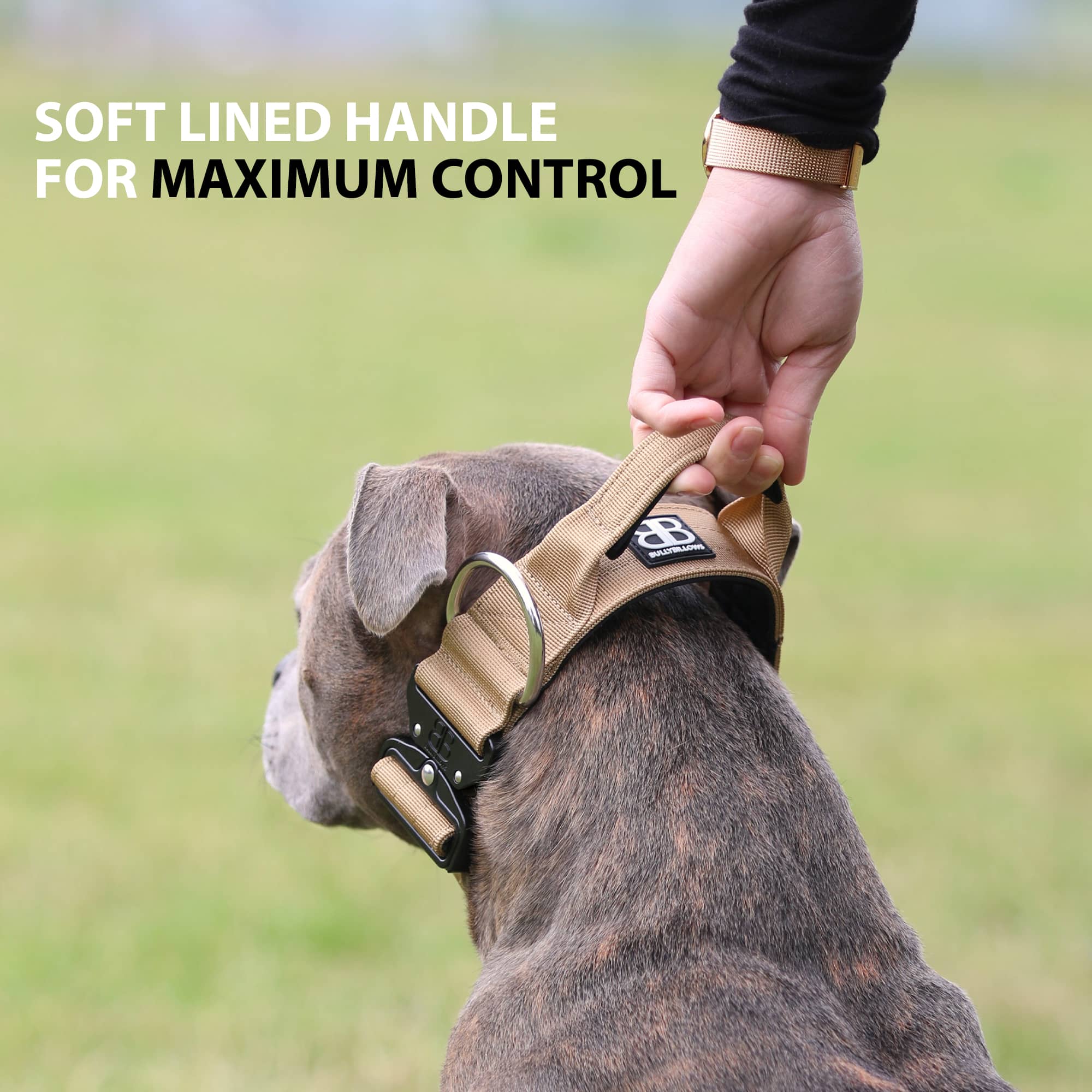 Combat Honden Halsband Paars Platinum - 5cm Breed -