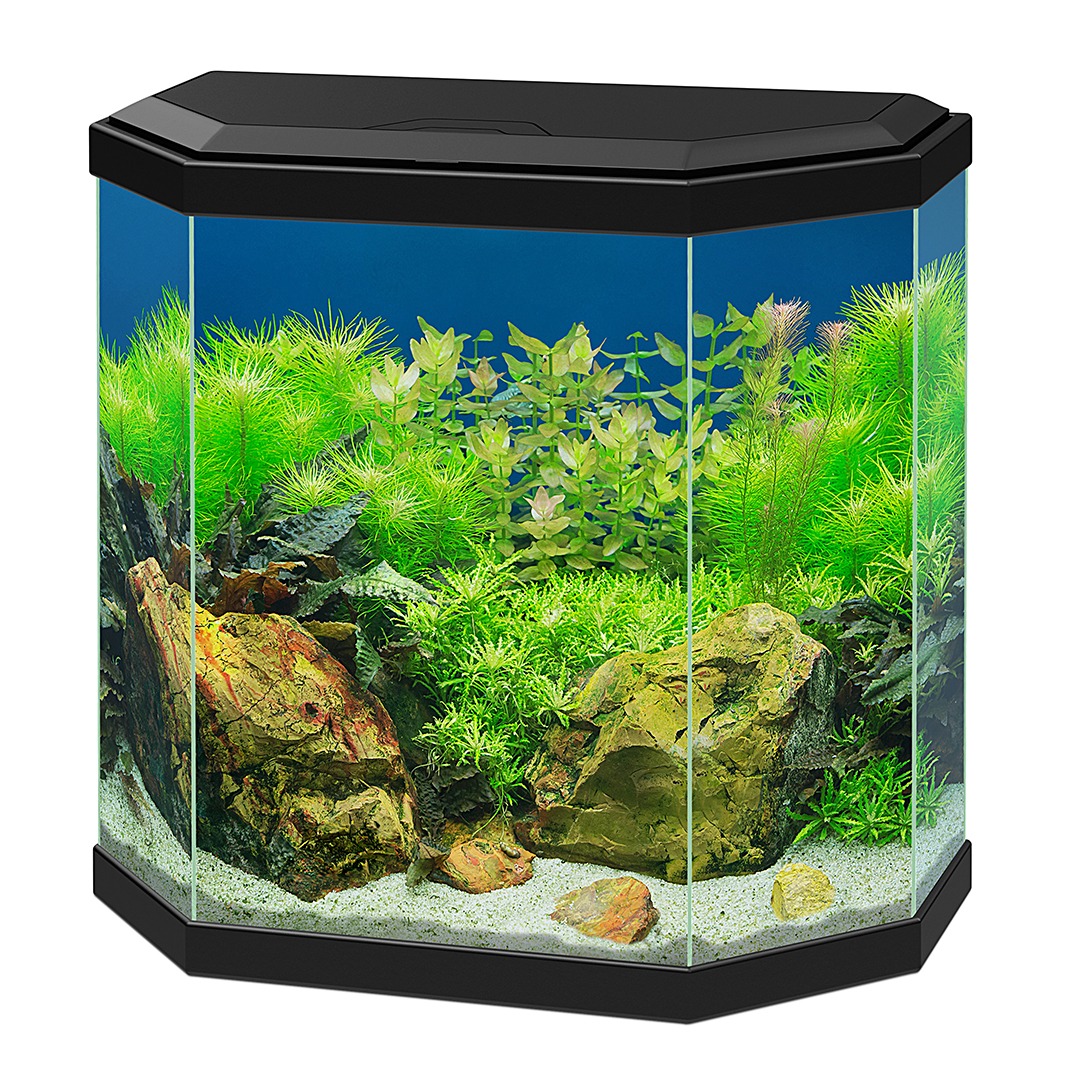 Ciano Aquarium Aqua 30