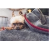 Trendpet Ruby - Honden Handdoek - Droogdoek - Grijs - Sfeerfoto 2