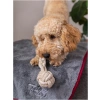 Trendpet Ruby - Honden Handdoek - Droogdoek - Grijs - Sfeerfoto 6