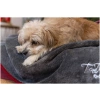 Trendpet Ruby - Honden Handdoek - Droogdoek - Grijs - Sfeerfoto 8