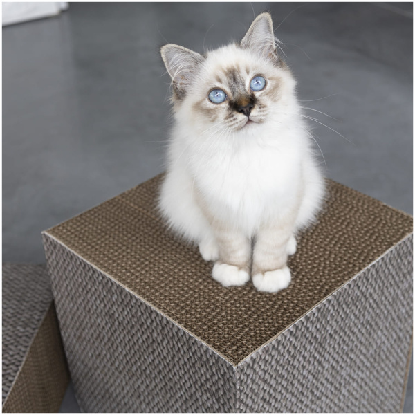 I Love Happy Cat Cardboard Scratcher Block - Freya - Krabblok - Beige - Sfeerfoto 6